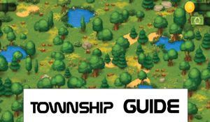 township guide